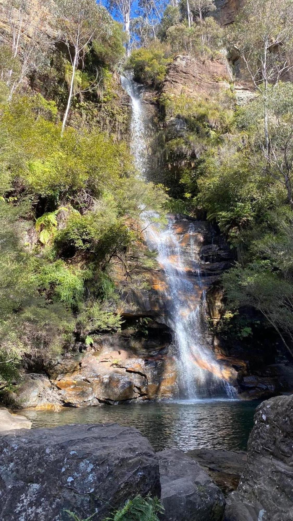Blissful Mountain Stay Katoomba Bagian luar foto
